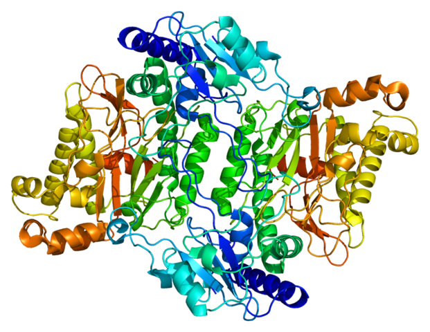 Prolidase three-dimensional structure